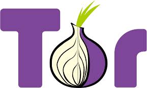 The Tor logo (courtesy of Google Images)