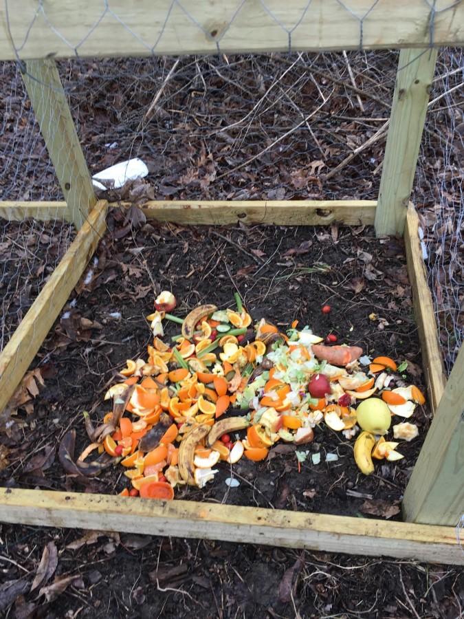 Day three of composting (picture taken by senior Emily Hamant).