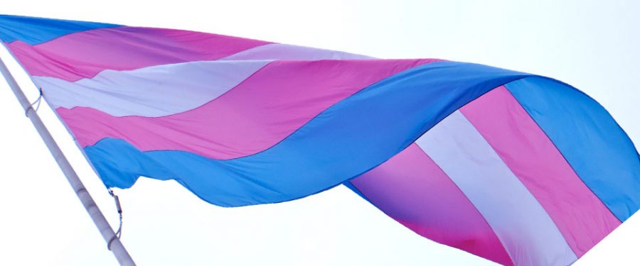A flag representing the trans community waving in the breeze