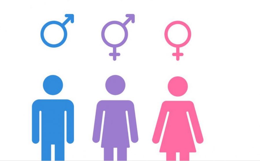 We are all equal no matter of our gender. Image courtesy of Google.