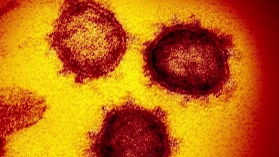 The novel coronavirus is becoming more and more deadly with each passing day