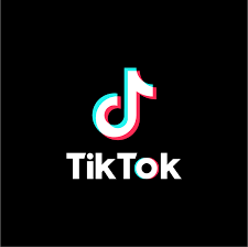 The app TikTok could be more dangerous then you think (photo courtesy of TikTok).