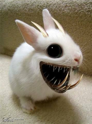 horror of the Ester bunny.