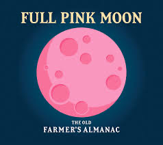 Aprils Pink Moon