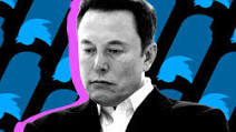 Elon Musk purchase