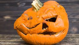 Don’t Let Pumpkins go to Waste From Halloween