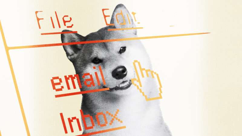 A PNG of an Shiba Inu, now infamously know as Doge, over a person's email and inbox. ( February, 2025 | AOL | Lex Villena; Seregraff ).