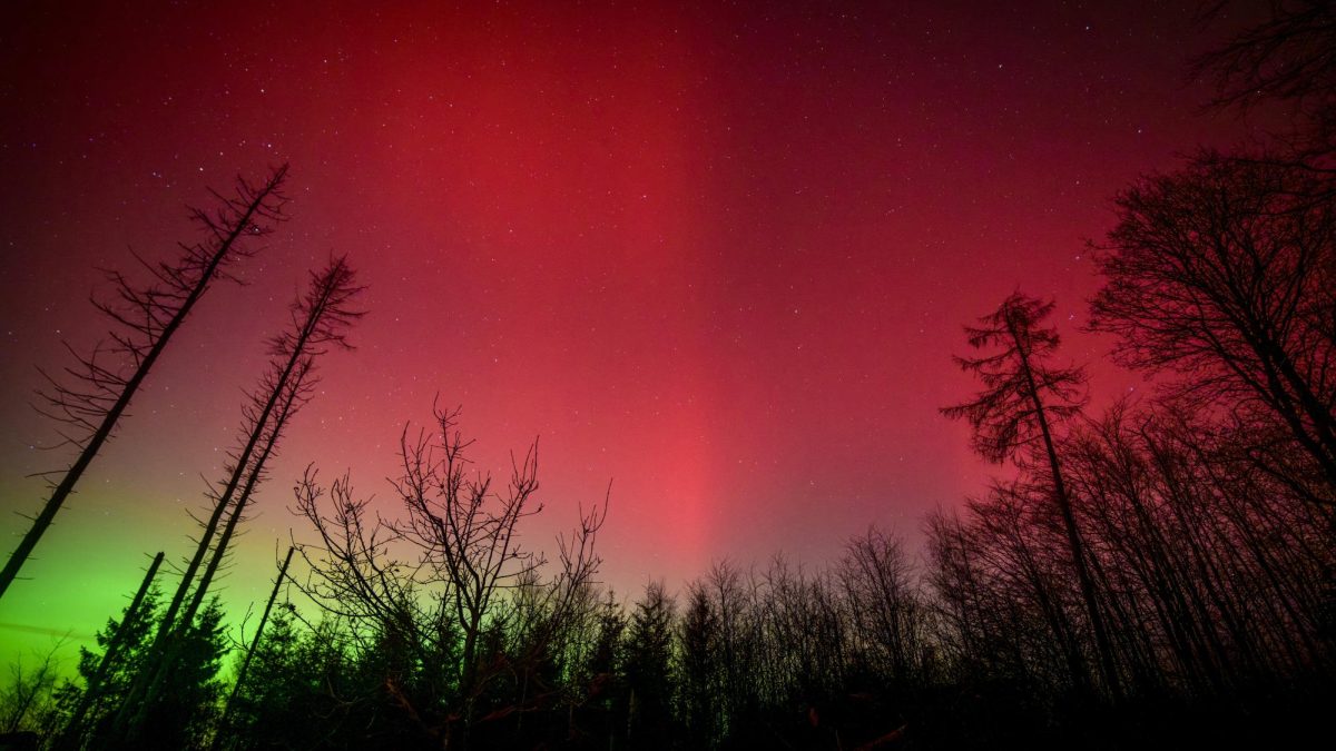 G4 Severe Solar Radiation Storm Hits Earth