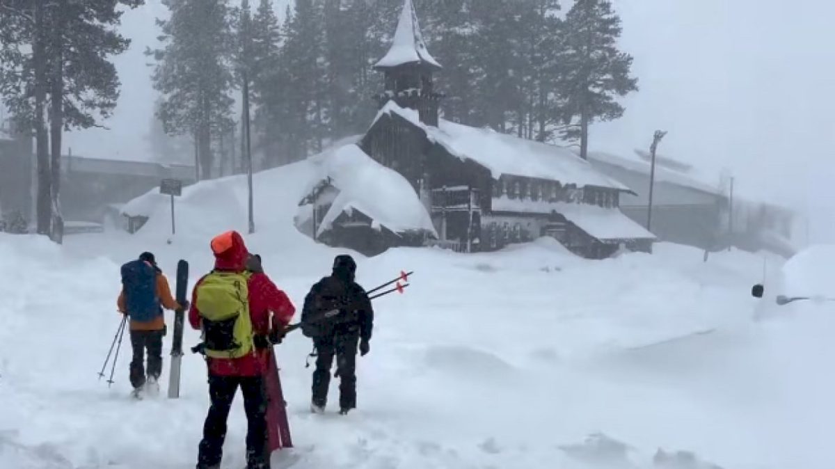 Eight skiers found dead as search continues